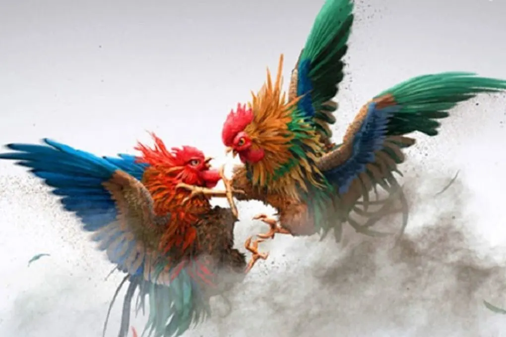 Vì sao cần xem ngày tốt để đi đá gà?